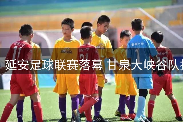 延安足球联赛落幕 甘泉大峡谷队摘冠晋级省赛