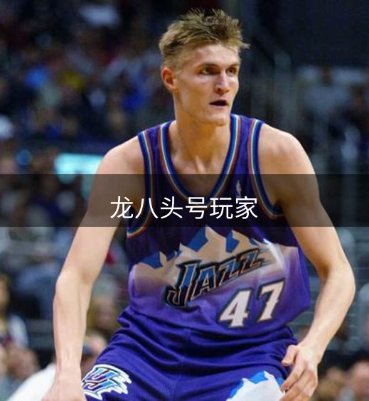 龙八头号玩家简介